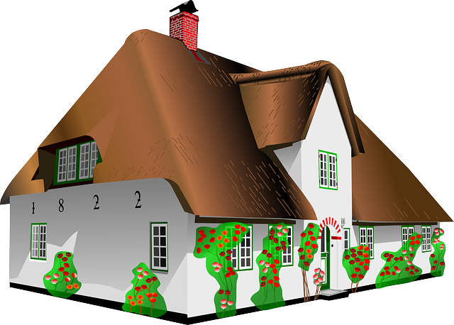 kreslený dům, hnědá střecha